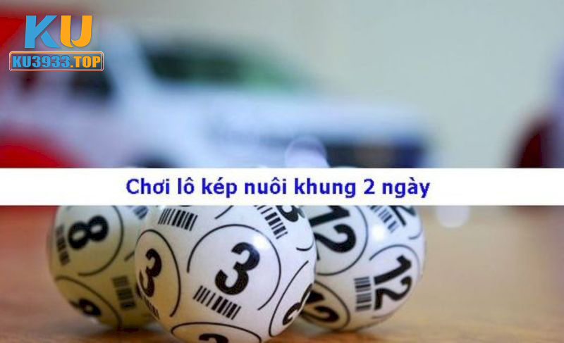 Nuôi cầu lô kéo theo khung 2 ngày cực hay